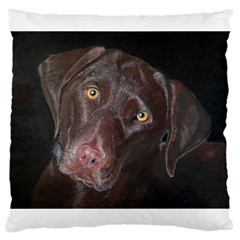 Inquisitive Chocolate Lab Large Cushion Case (single Sided)  by LabsandRetrievers