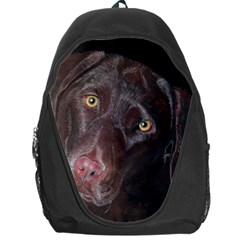 Inquisitive Chocolate Lab Backpack Bag