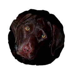 Inquisitive Chocolate Lab 15  Premium Round Cushion 