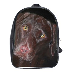 Inquisitive Chocolate Lab School Bag (xl)