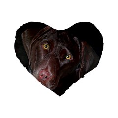 Inquisitive Chocolate Lab 16  Premium Heart Shape Cushion 