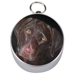 Inquisitive Chocolate Lab Silver Compass by LabsandRetrievers