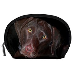 Inquisitive Chocolate Lab Accessory Pouch (large)