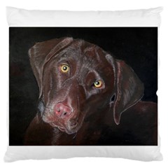 Inquisitive Chocolate Lab Standard Flano Cushion Case (one Side) by LabsandRetrievers