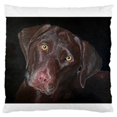 Inquisitive Chocolate Lab Large Flano Cushion Case (one Side) by LabsandRetrievers