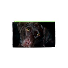 Inquisitive Chocolate Lab Cosmetic Bag (xs)