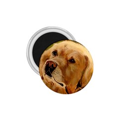 Golden Retriever 1 75  Button Magnet