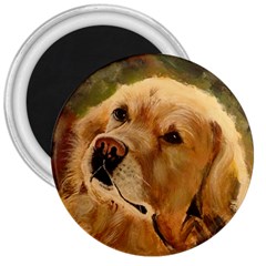 Golden Retriever 3  Button Magnet