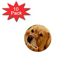 Golden Retriever 1  Mini Button (10 Pack)