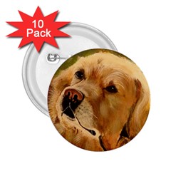 Golden Retriever 2 25  Button (10 Pack)