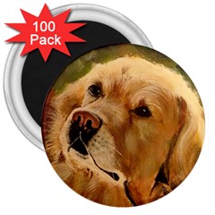 Golden Retriever 3  Button Magnet (100 Pack)