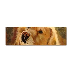 Golden Retriever Bumper Sticker