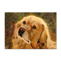 Golden Retriever A4 Sticker 100 Pack by LabsandRetrievers