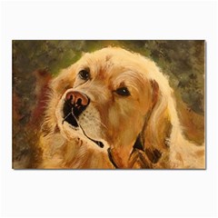 Golden Retriever Postcard 4 x 6  (10 Pack)