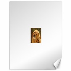 Golden Retriever Canvas 36  X 48  (unframed)