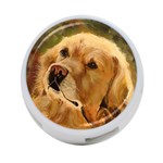 Golden Retriever 4-Port USB Hub (One Side) Front