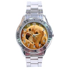 Golden Retriever Stainless Steel Watch