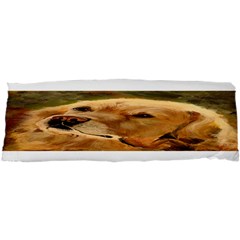 Golden Retriever Samsung Galaxy Nexus S I9020 Hardshell Case