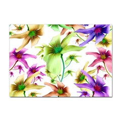 Multicolored Floral Print Pattern A4 Sticker 100 Pack by dflcprints