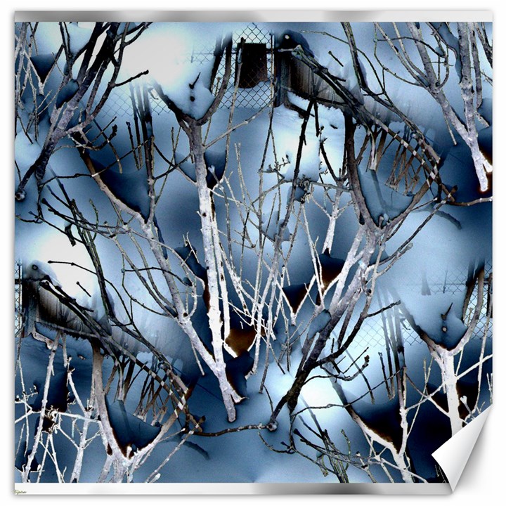 Abstract Of Frozen Bush Canvas 16  x 16  (Unframed)