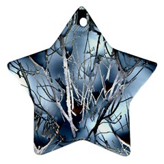 Abstract Of Frozen Bush Star Ornament (two Sides)