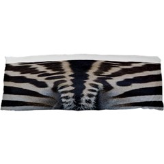 Zebra Butt Samsung Galaxy Nexus S I9020 Hardshell Case by Artgnomes