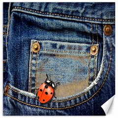 Blue Jean Lady Bug Canvas 20  X 20  (unframed)