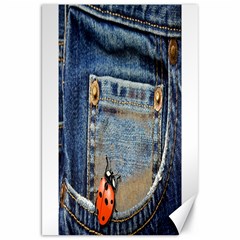 Blue Jean Lady Bug Canvas 20  X 30  (unframed) by TheWowFactor