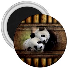 Panda Love 3  Button Magnet