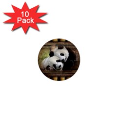 Panda Love 1  Mini Button (10 Pack)