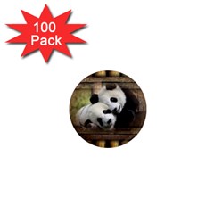 Panda Love 1  Mini Button Magnet (100 Pack)