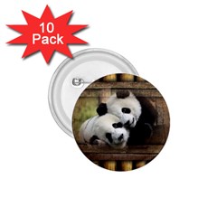 Panda Love 1 75  Button (10 Pack)