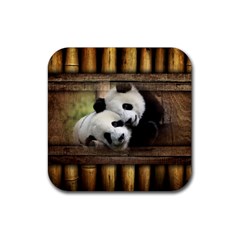 Panda Love Drink Coaster (square)