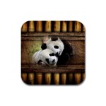 Panda Love Drink Coasters 4 Pack (Square) Front