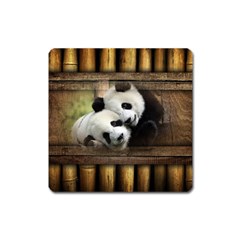 Panda Love Magnet (square)