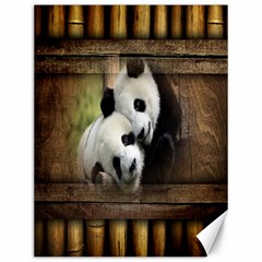 Panda Love Canvas 12  X 16  (unframed)