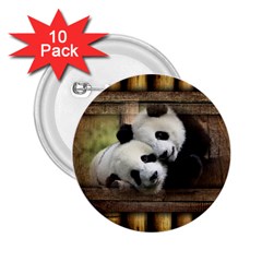 Panda Love 2 25  Button (10 Pack) by TheWowFactor