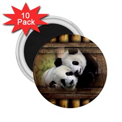 Panda Love 2 25  Button Magnet (10 Pack) by TheWowFactor