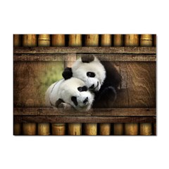 Panda Love A4 Sticker 100 Pack by TheWowFactor