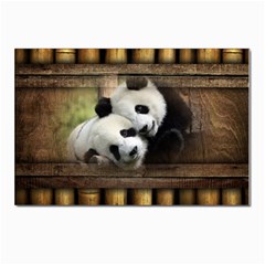 Panda Love Postcard 4 x 6  (10 Pack) by TheWowFactor