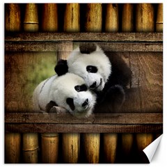 Panda Love Canvas 16  X 16  (unframed)