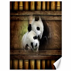 Panda Love Canvas 36  X 48  (unframed) by TheWowFactor