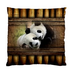 Panda Love Cushion Case (single Sided)  by TheWowFactor