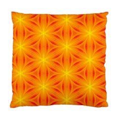 Cute Pretty Elegant Pattern Cushion Case (single Sided) 