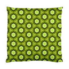 Cute Pretty Elegant Pattern Cushion Case (two Sided)  by GardenOfOphir