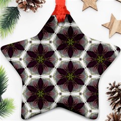 Cute Pretty Elegant Pattern Star Ornament (two Sides) by GardenOfOphir