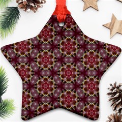 Cute Pretty Elegant Pattern Star Ornament by GardenOfOphir