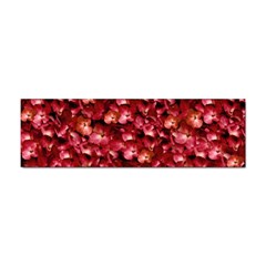 Warm Floral Collage Print Bumper Sticker by dflcprints