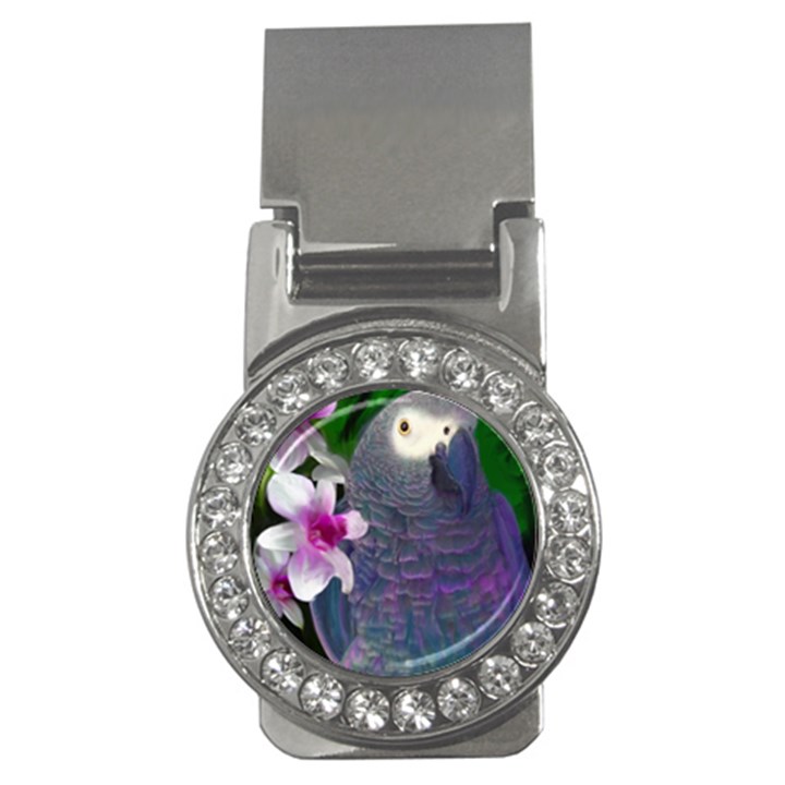 African Grey Parrot Money Clip (CZ)