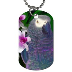 African Grey Parrot Dog Tag (one Sided)